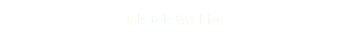 Taketoki Washizu